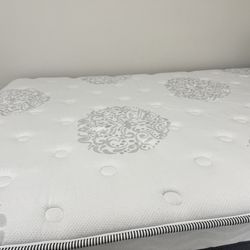 ZINUS 12 Inch Green Tea Cooling Gel Memory Foam Hybrid Mattress, Queen