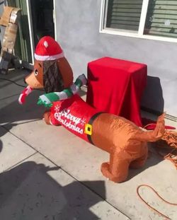 Christmas Decor Winner Dog Lighed Airblown 