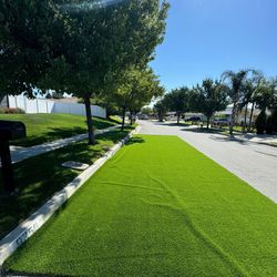 Artificial Grass Turf