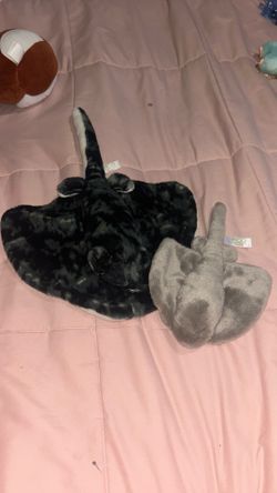 Sting rays plushies