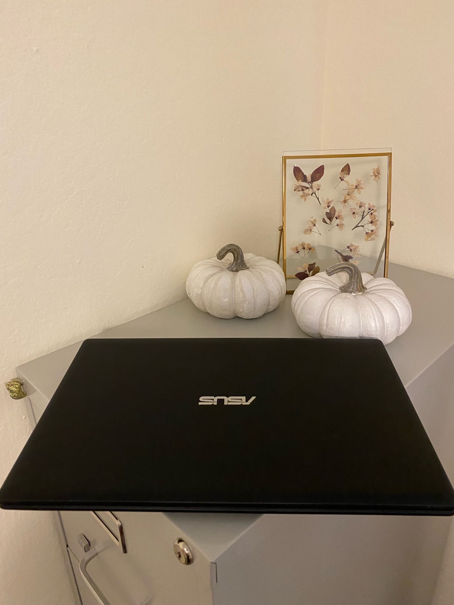 Asus X551MA Laptop with Windows 11, 2021 Office, and DVD Burner