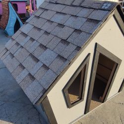 Protect Your Pets From Weather Rain 🌧️ Is Coming 