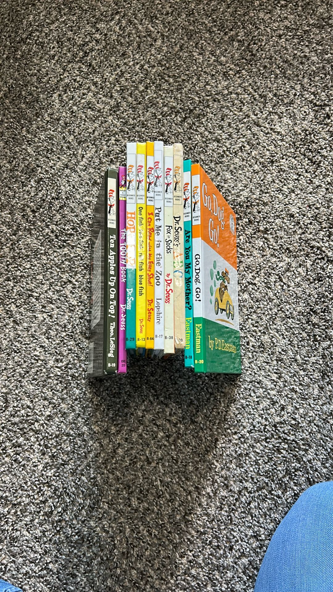 Dr Seuss