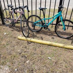 Womens Ladies Bicycles Giant Liv Scattante