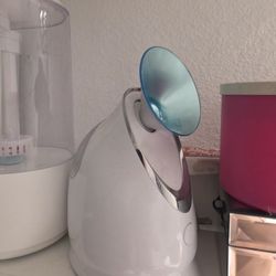 face steamer 