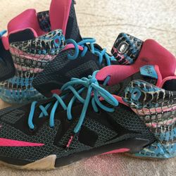 LeBron Chromosomes OBO