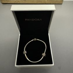 New Sterling Silver Pandora Starter Bracelet 