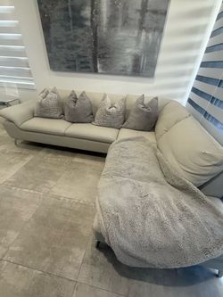 Sectional Leather couch