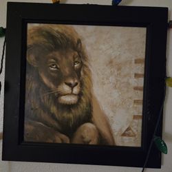 Square Picture Of Alion 