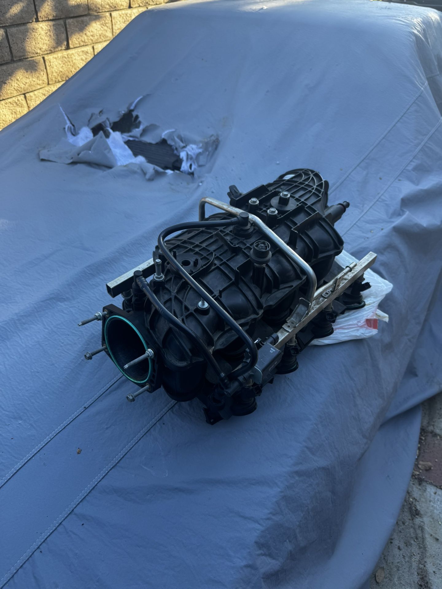 Tbss Intake Read Description 