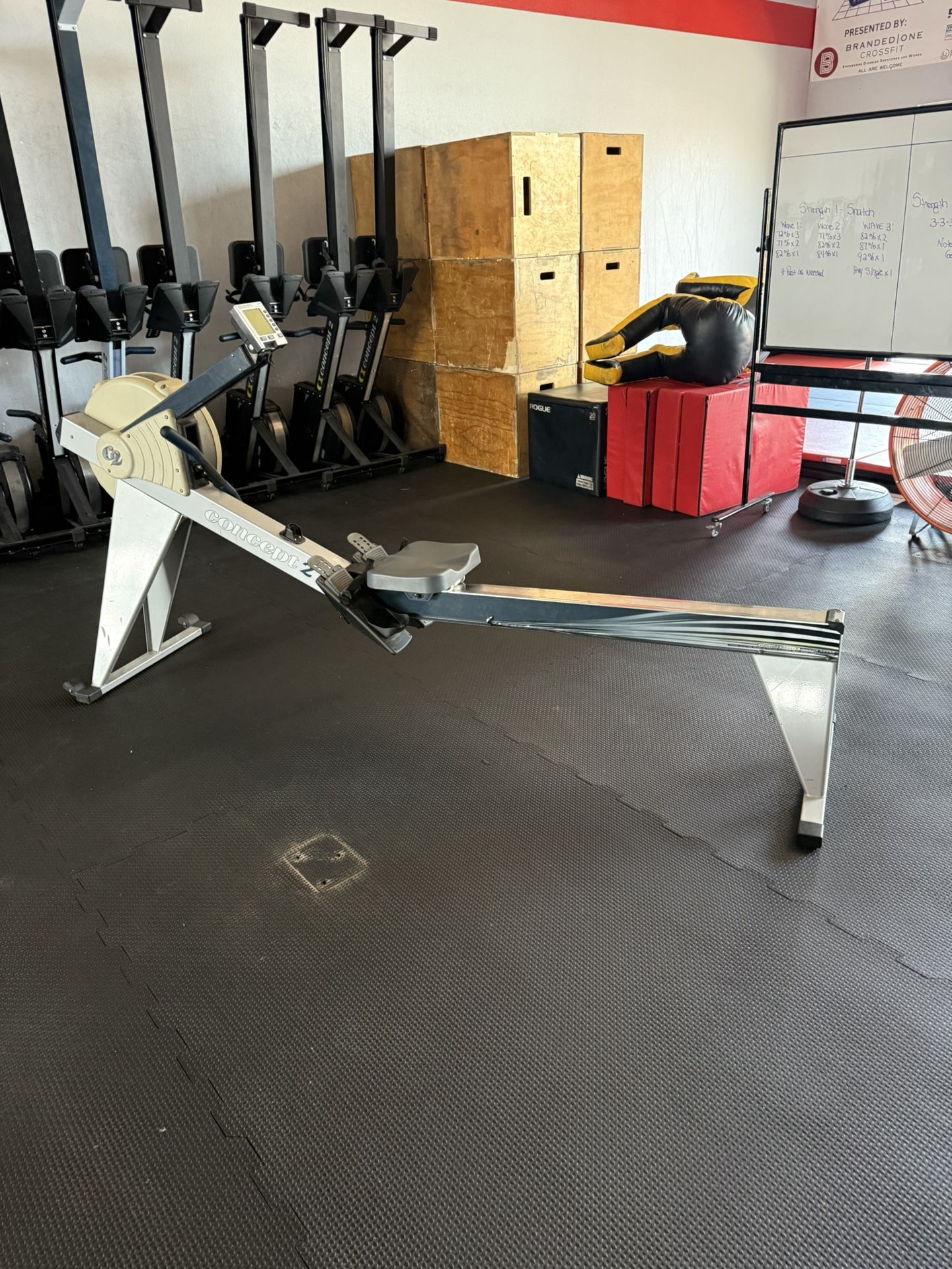 Commercial Concept 4 Rower Model D