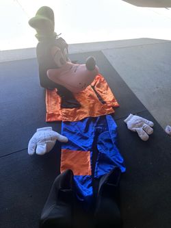 Disneyland goofy costume mascot