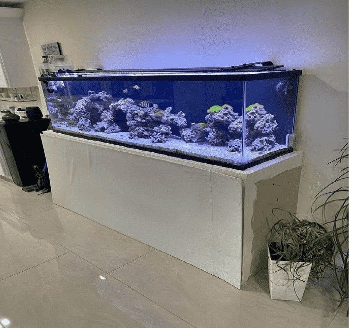 mouth respond Large Full-Sized Fish Tank – A Beautiful Centerpiece for Your Home