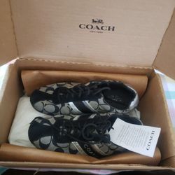 Coach size 6