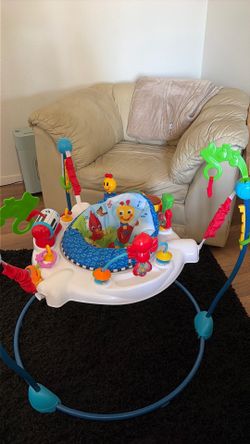 Baby Einstein jumper