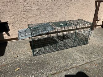 Animal trap: humane: raccoons, possums, skunks, feral cats.