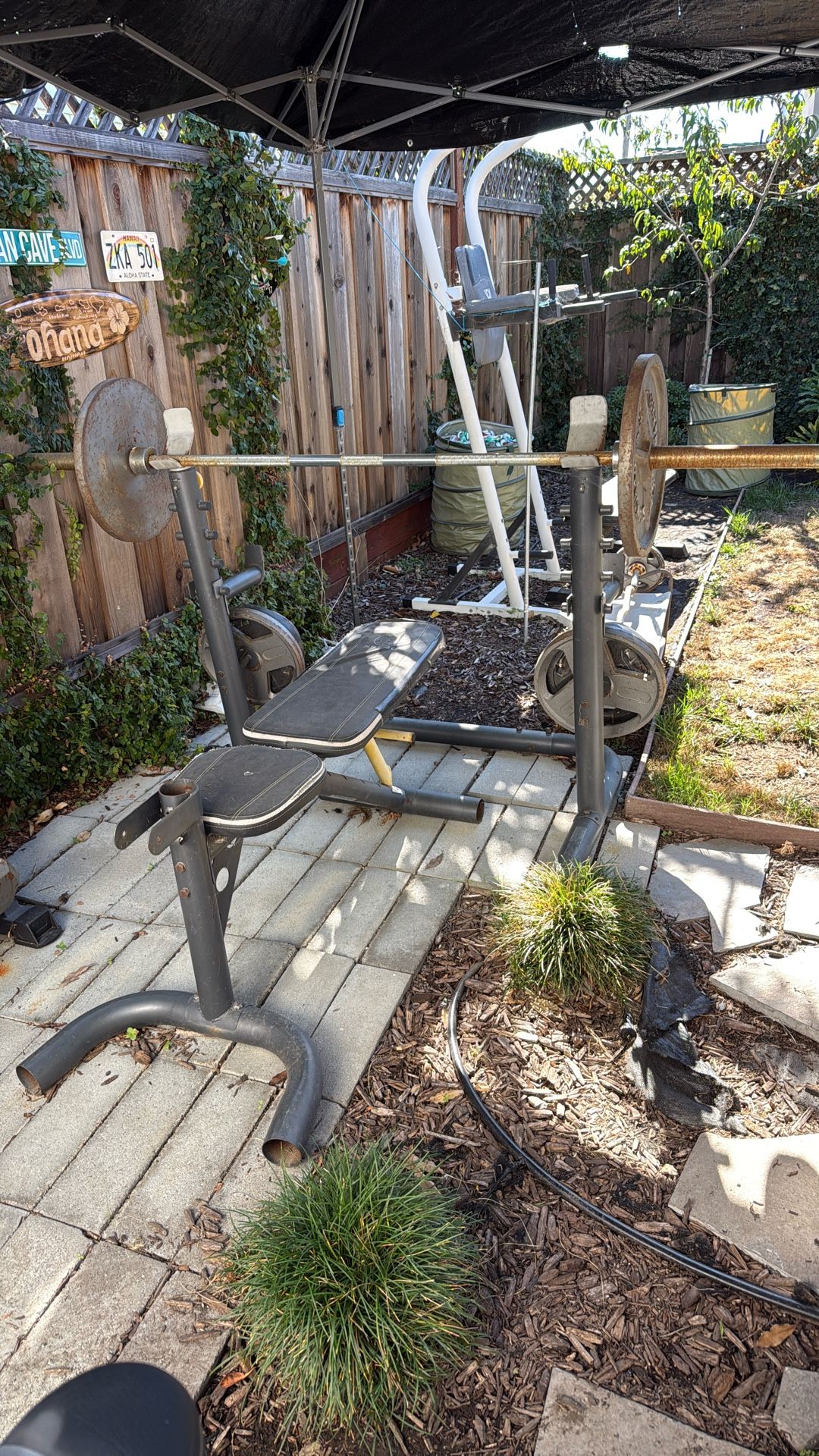 Bench And Olympic Weights