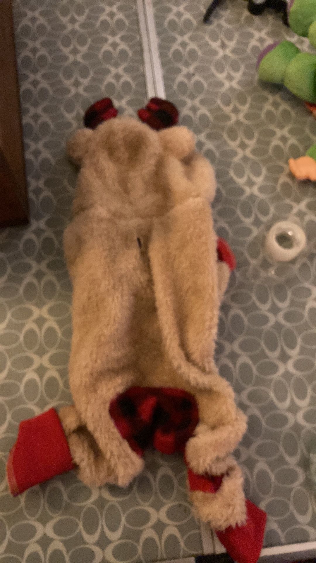 Reindeer, dog outfit