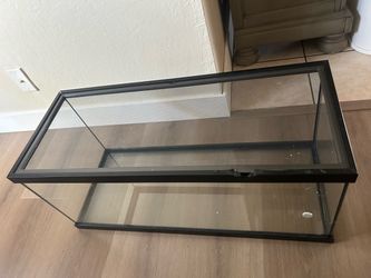 20 gallon tank