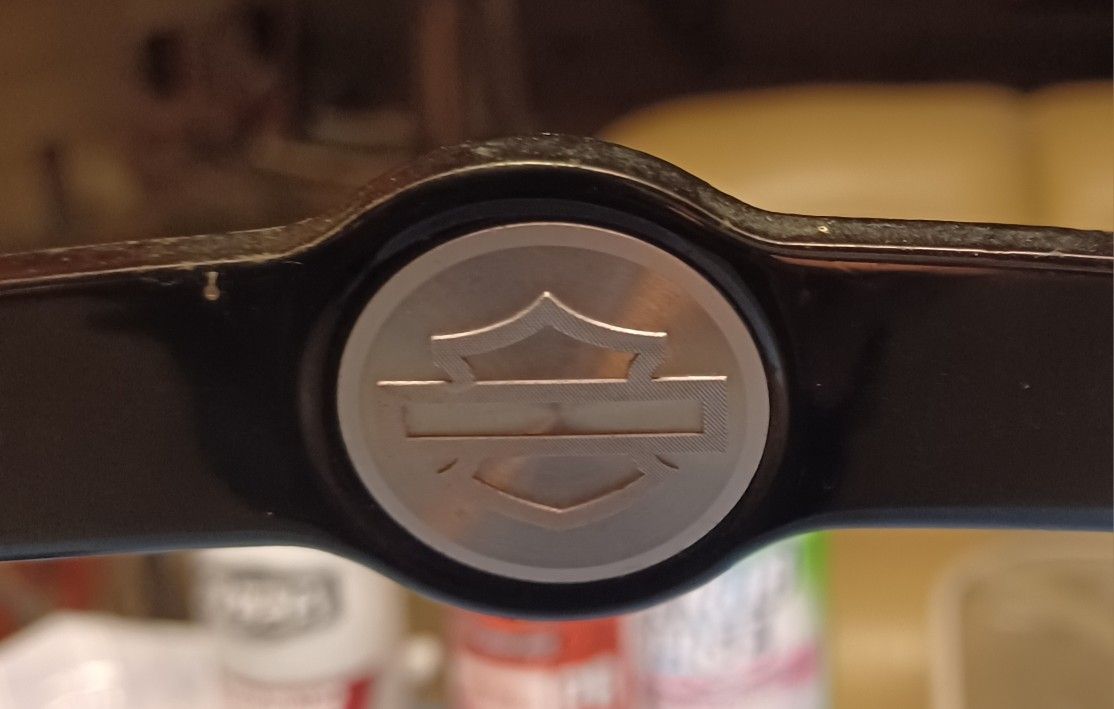 Harley Davidson Detachable Sissy Bar