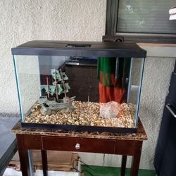 Fish Tank 20G 