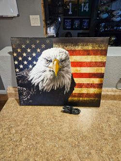 Bluetooth Speaker American Eagle / Flag canvas art