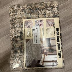 Champlant 6x9 area Rug Dark Brown