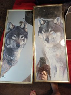 2 wolf prints