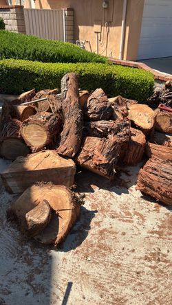 Free eucalyptus firewood