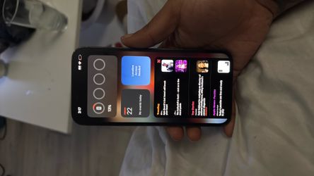 iPhone 13 Pro ( unlocked )