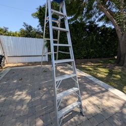 8Ft Ladder 