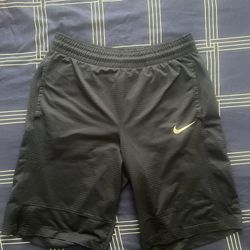 Nike Shorts Navy Blue Dri fit 