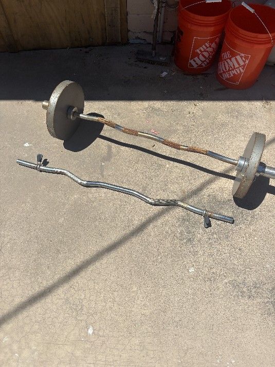 Weights Curl Bar