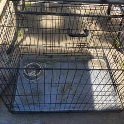 Dog Crate