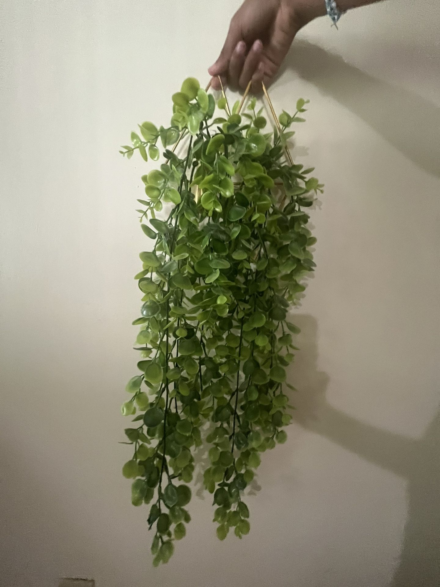 green hanging bush