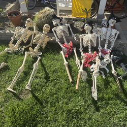 Halloween Skeletons 