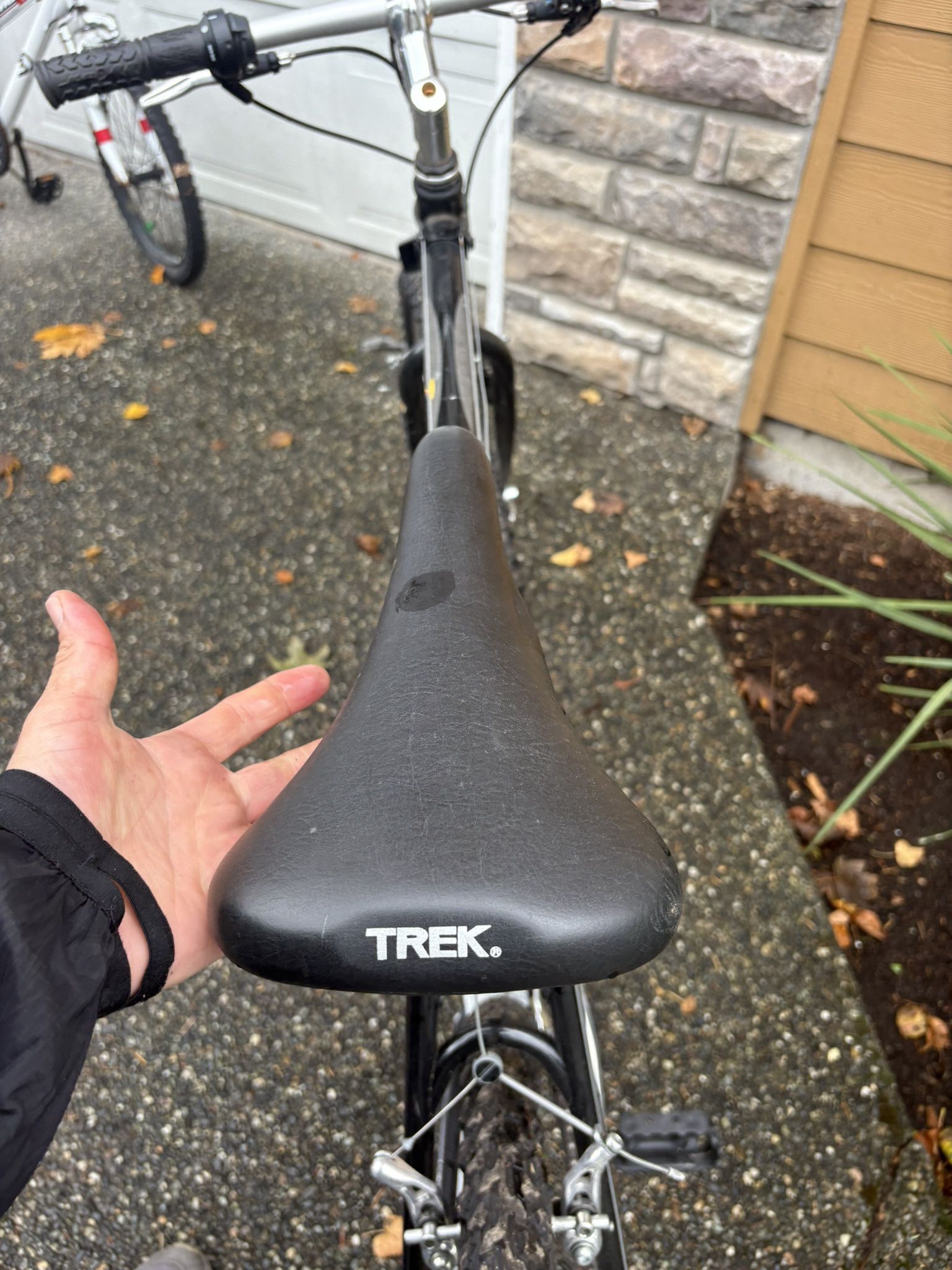 Trek Bike