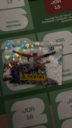 Panini sticker 00