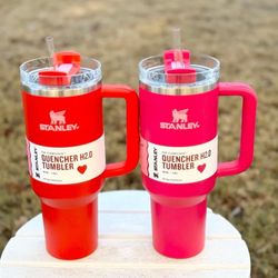 Valentines Day Stanley 