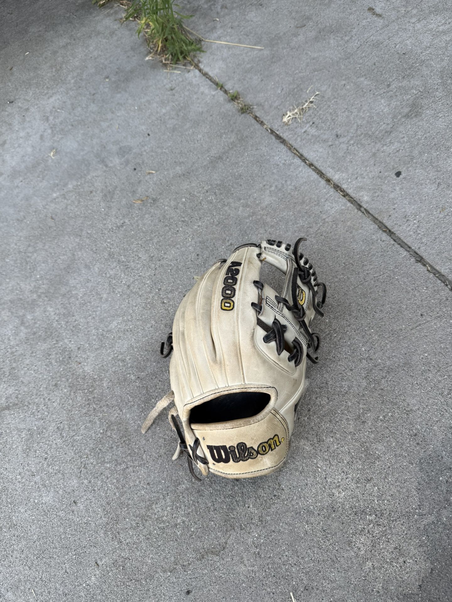 Baseball Glove