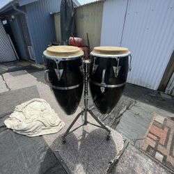CONGAS FOR SALE