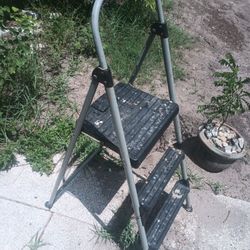 Foldable Ladder