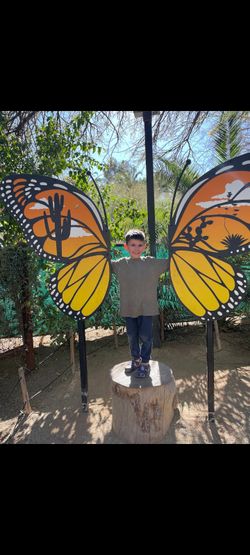 Baby Sitter Looking For Work