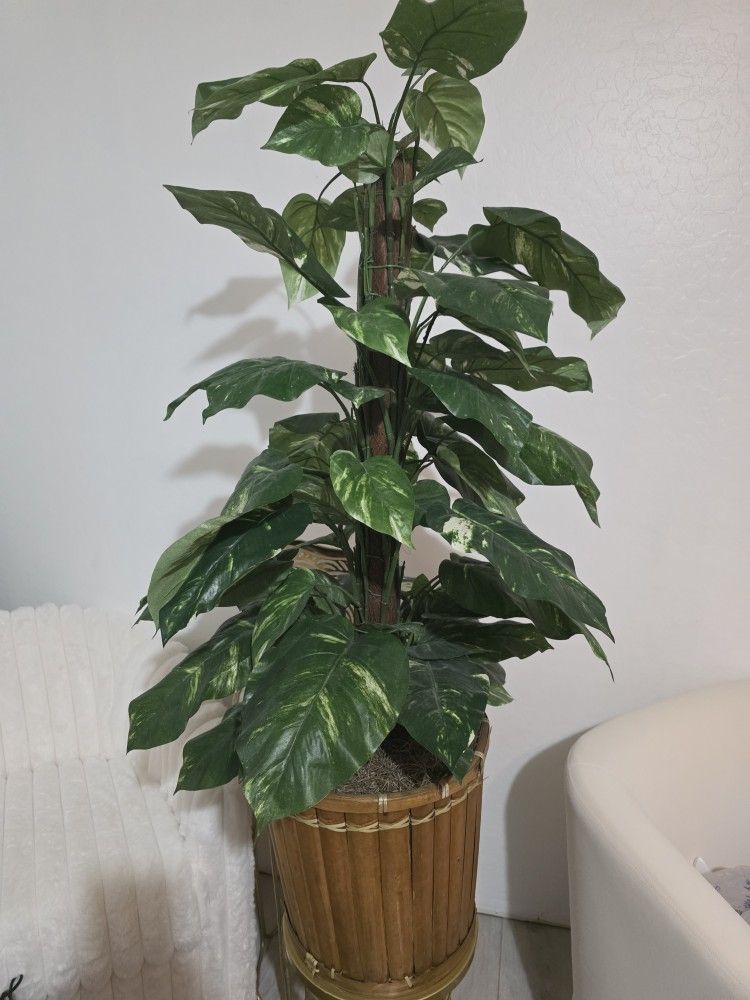 Decoration