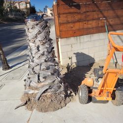 Stump Grinder