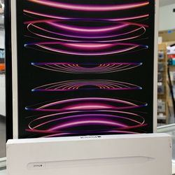 IPAD PRO 11” 4TH Gen 256GB + Apple Pencil 