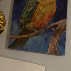 Bird Frame