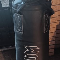 Punching Bag