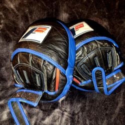 Fighting Sports Mitts 