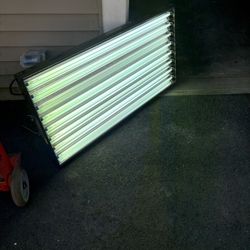 Agrobrite LIGHTS